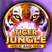 Chơi Baccarat An Toàn tại Vibet88